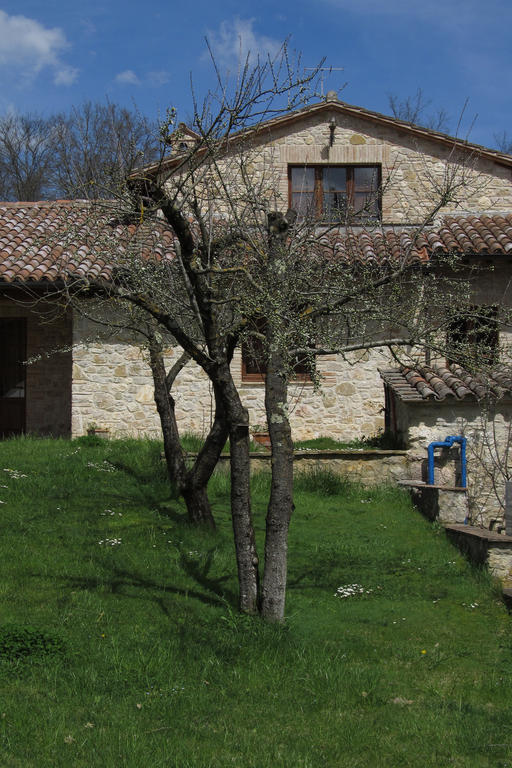 Il Vignale ξενώνας Massa Martana Εξωτερικό φωτογραφία